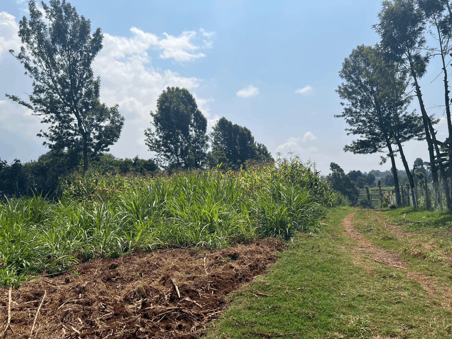 50×100 Plot for Sale in Gikuni, Nyathuna, Eighth-Acre